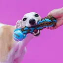 ZEZE "Sure!" Rope Ball Pet Toy, Interactive Chew Toy for Cats Dogs (Blue) image 1