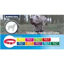 Ancol Viva Collar Red 28-36cm Size 3 image 1