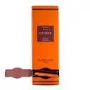 Damman Frères Infusion rooibos aux agrumes - 24 sachets/48 g image 1