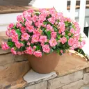 Yuejia Lot de 6 bouquets de fleurs artificielles en soie camélia rose - 38 cm image 3