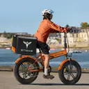 ENGWE EP-2 Boost Folding E-bike 250W motor 48V13Ah battery Adult bicycle 20* 4-inch fat tire E-Mountain bike，Electric Bike image 5