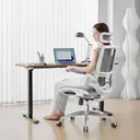 Sihoo M59AS Chaise de bureau ergonomique - Gris image 2