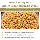 Zooly Bougie parfumée Amber Time - Noix de coco tropicale et citron vert (Vert), 100 g, 1 pièce image 3