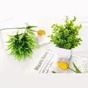 3Pcs 6.69in/17cm
Artificial Plant Flowerpot Artificial Plastic Eucalyptus Plant Wheat Grass Shrub Plant Indoor Desk Coffee Table Bathroom Bedroom Home Decoration image 2