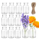 12pcs/10.5cm4.1in  Small Glass Vases, Pack of 12 Mini Glass Vases, 125 ml Small Bottles with Jute Cord, Flower Vase, Table Vases, for Table, Decoration, Centrepieces, Home, Birthdays, Festivals image 3