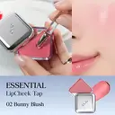 CLIO Essential Lip & Cheek Tap 05 Cherry Shower 4,5 g image 5