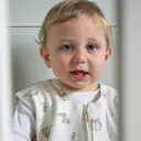 HALO® SleepSack® 100% Cotton Wearable Blanket Swaddle Transition Sleeping Bag TOG 0.5 0-6 Months Winnie The Pooh Frolic image 4