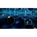 Pokémon Legends: Z-A - Switch - Version Française image 4