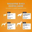 Dr John Gold with Chicken, Vegetables & Gravy 15kg image 3