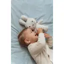 Little Dutch Nijntje Lucky Leaves Knuffel - 20 cm, Blauw image 2