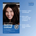 Clairol Lasting Colour Permanent Colour Hair Dye 3 Darkest Brown 1 Pack image 1