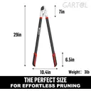 GARTOL 29 Inch Anvil Loppers Heavy Duty Garden Branch Cutter, 2 inch Cutting Capacity Anvil Hand Pruner, with
22-Inch Ergonomically Designed Non-Slip Handles image 3