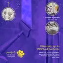 Swan x TV's Queen of Clean Handheld Steam Cleaner, 3 Steam Pressure Settings, 9 Attachments, 5 m Cable, 220 ml Tank - Pink, SC17350QOCN image 4