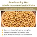 Zooly Bougie parfumée transparente senteur mousse de l’Himalaya - 140 g image 5