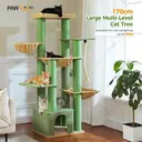 PAWZ Road Grand arbre à chat avec hamacs, griffoirs et niche vert - 170 cm image 1