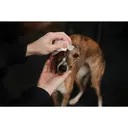 Beco Bamboo Travel Wipes Coconut Scented image 1