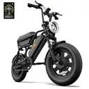 URLIFE T16 Electric Bicycle For Adults 250W Motor 48V 13AH Battery E-bike 16" Tire All-Terrain E-Mountain bike image 0