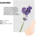 Wilton London Lavender Fabric Conditioner 1l image 3