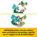 LEGO Creator 31384 Animaux sauvages : le colibri coloré image 4