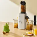 BEAR 80mm Weitmund-Slow-Juicer – 1L große Kapazität, 99,5% Saftausbeute, ganzes Obst einwerfen, Reinigung durch einfaches Spülen, antioxidativer leiser Quetsch-Saftextraktor image 3
