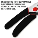 FLORA GUARD Secateurs, 8.5 Inch Traditional Bypass Pruning Shears, Professional Tree and Branch Garden Pruner image 5