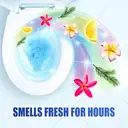 Harpic Active Fresh Toilet Cleaner Gel, Serene Sunset, 750ml image 2