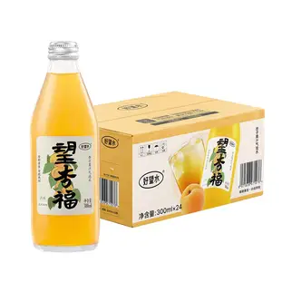 Hope water sprankelende abrikozensapdrank 300 ml × 24