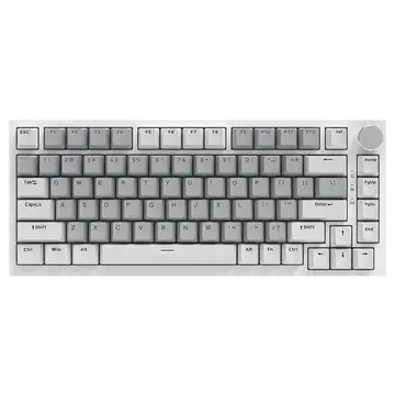 AJAZZ AK820 kabelgebundene Tastatur, weiß und grau, kompatibel mit HP Axis, mit weißem Licht, Gaming-Tastatur