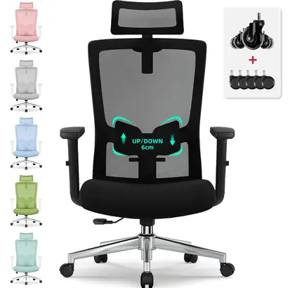 Balmstar Ergonomischer Bürostuhl – Höhenverstellbar, Mit Kopf- Und Lendenstütze, 159 Kg Kapazität