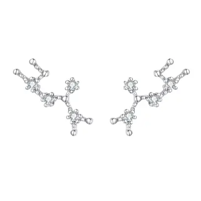 Ever Faith Sagittarius Zodiac Constellation Cubic Zirconia Stud Earrings