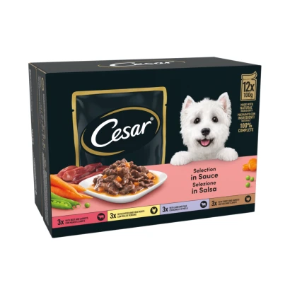 CESAR Deliciously Fresh Dog Food Pouches Mixed Selection in Sauce 12 x 100g