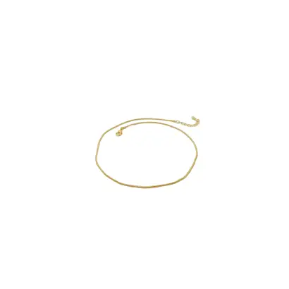 Snake Chain 18K Gold Plated 42cm Necklace