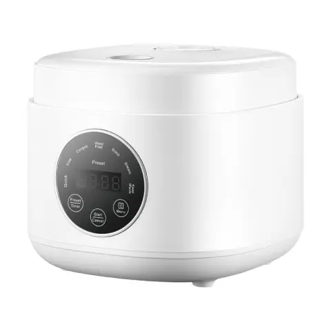 ochama Rice Cooker Small - 2L Electric Rice Cooker, Multi-functional Cooker, Porridge Pot, Rice Cooking Pot - For Home Use (2-3 People)