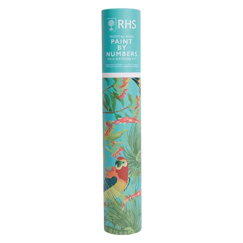 RHS Paint By Numbers Hanging Kit Tropical Birds 400 x 500 mm