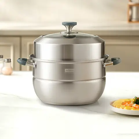 Ochama stoompan 28 cm van 304 roestvrij staal, 2-laags verdikte stomer en soeppan, zonder teflon coating, geschikt voor inductie en gas, gestapelde stoommand