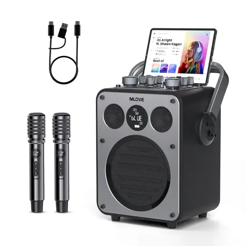 Mlove Rangers D5 Professionele karaoke-machine voor volwassenen met Bluetooth en 2 draadloze microfoons, draagbaar PA-systeem luidspreker, opnamefunctie, ruisonderdrukking, gitaarversterker, geschikt voor feestjes thuis en buitenevenementen, 200 W - Zwart