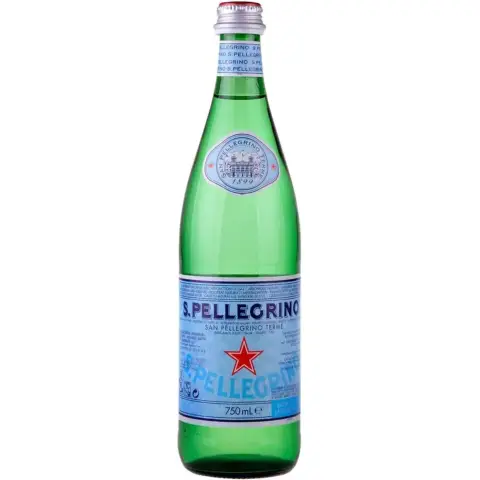 S.Pellegrino Mineralwasser mit Kohlensäure 750ml