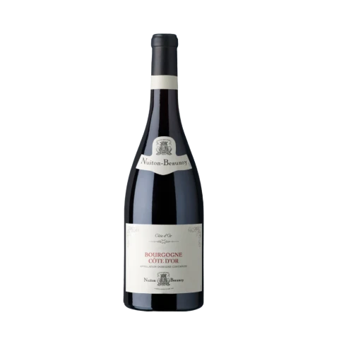 Bourgogne Cote d'Or PinotN 20 Nuiton-Beaunoy