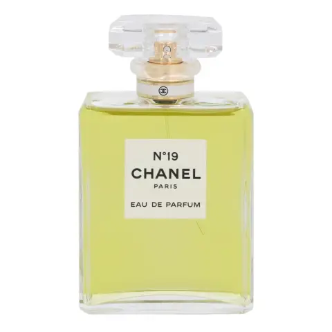 Chanel No 19 Eau de Parfum Spray 100 ml