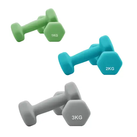 ochamaxsongmics  Neoprene Dumbbells Set - 2 x 1 kg, 2 x 2 kg, 2 x 3 kg, for Workout, with Stand Lime, Teal, and Light Grey 
