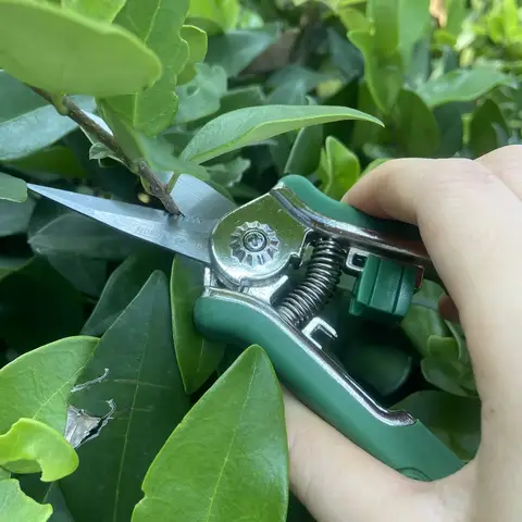 FLORA GUARD Micro-Tip Pruning Snip, 6.5 Inch Secateurs with Soft-Touch Handle, Pruning Shears, Stainless Steel (Green)