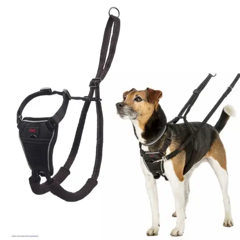 CoA Halti No Pull Harness Small