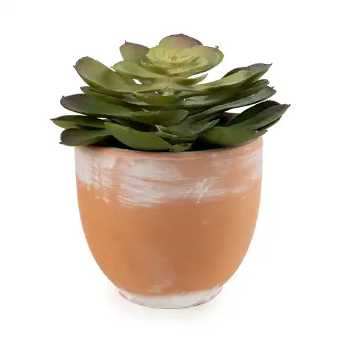 Candlelight Artificial Green Echeveria Succulent in Terracotta Effect Pot 13cm