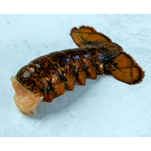 Canadian lobster tail