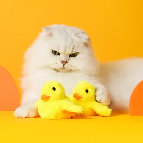 Petgravity Plush Flapping Duck Interactive Cat Toy, USB-C Rechargeable, with Catnip, with Sound, Hunting Toy