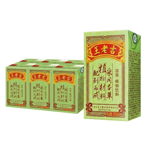 【Verkoeling】WangLaoJi Kruidenthee Drank 250ml x 6