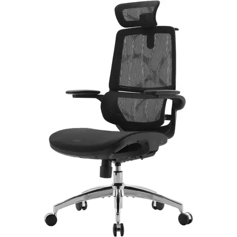 SIHOO M59AS ergonomischer Bürostuhl mit 3D-verstellbaren, hochklappbaren Armlehnen, doppeltem Rückenlehnen-Design und adaptiver Lordosenstütze, Netzschreibtischstuhl fürs Homeoffice (Schwarz)