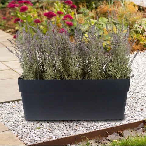 Strata Soho Trough - 60cm-Charcoal