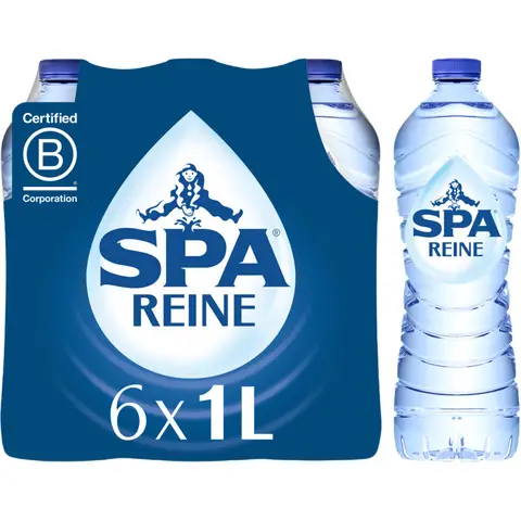Spa Reine Natuurlijk Mineraalwater 6x1L