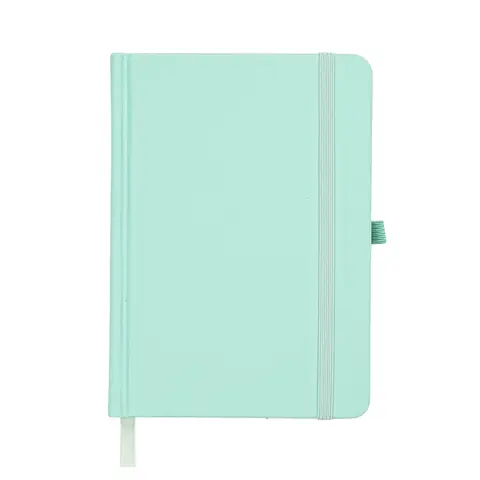 A6 Premium Hardcover-Notizbuch mit PU-Optik und nummerierten Seiten - 80 Seiten (100 g/m² Offetpapier), Lesezeichen, Gummiband und Stiftschlaufe - un datiertes Planbuch für Notizen, Ideenzeichnungen, Aufgabenlisten und persönliche Aufzeichnungen - Salbeigrün
